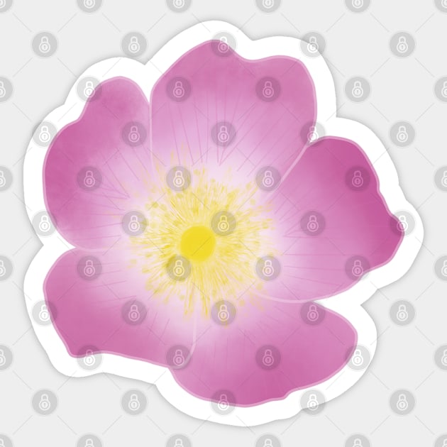 Wild Rose (Rosa acicularis) Sticker by Strong with Purpose